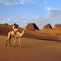Sudán: Expedición de Alta Nubia (11 días)