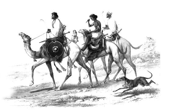 Imagen editorial del blog oficial de Seshat